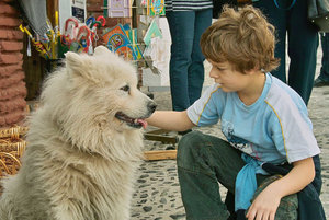 -der Hundeblick-.jpg