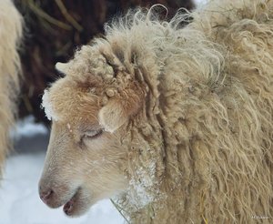 01_SDIM7270_Corp.jpg 01_SDIM7270_Corp.jpg