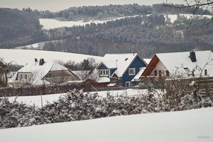 02_SDIM7286.jpg 02_SDIM7286.jpg