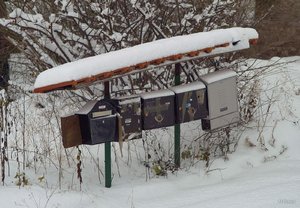 04_SDIM7317.jpg 04_SDIM7317.jpg