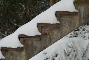 05_SDIM7302.jpg 05_SDIM7302.jpg