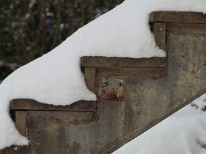 05_SDIM7302_Corp.jpg 05_SDIM7302_Corp.jpg