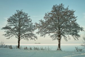 comp_SDIM2408Auto3Y.jpg comp_SDIM2408Auto3Y.jpg