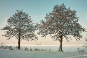 comp_SDIM2408Schatten.jpg comp_SDIM2408Schatten.jpg