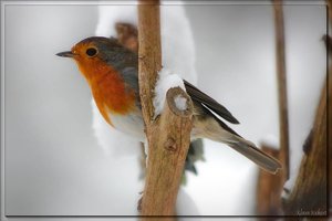 sample 112.jpg sample 112.jpg