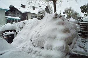 Schnee-DP1 - SDIM2313.jpg