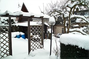 Schnee-DP1 - SDIM2318.jpg