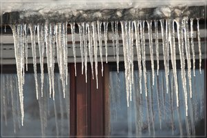 Eiszeit-SD15 - SDIM2100.jpg