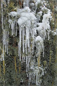 Eiszeit-SD15 - SDIM2113.jpg