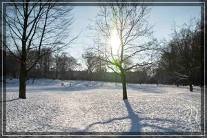 comp_2grünstcih auto.jpg comp_2grünstcih auto.jpg