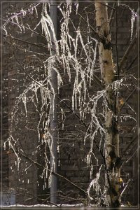 Eiszeit-SD10 - IMG05887.jpg