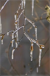 Eiszeit-SD10 - IMG05889.jpg