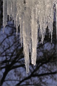 Eiszeit-SD10 - IMG05843.jpg