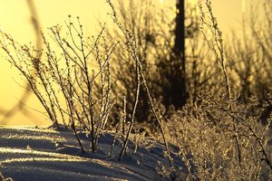 IMG07278.jpg IMG07278.jpg