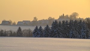 IMG07272.jpg IMG07272.jpg