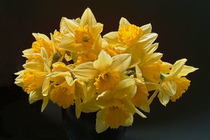 DP1Blumen 047.jpg.jpg