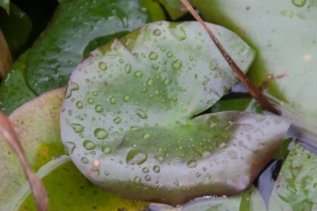 IMG_6546_normal.jpg IMG_6546_normal.jpg