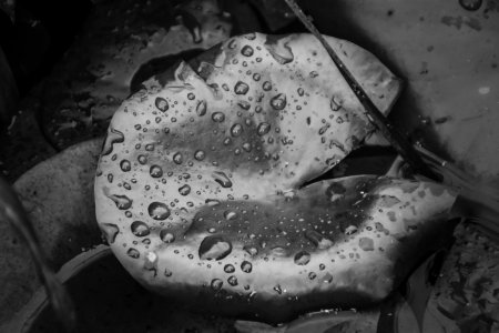 IMG_6546_edited.jpg IMG_6546_edited.jpg