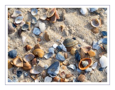 mousseln.jpg mousseln.jpg