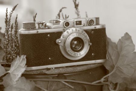 IMG_6683.JPG IMG_6683.JPG