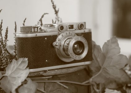 IMG_6684.JPG IMG_6684.JPG