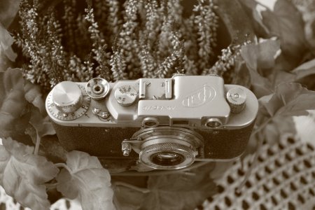 IMG_6688.JPG IMG_6688.JPG