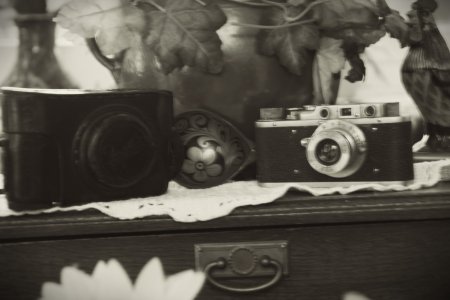 IMG_6696.JPG IMG_6696.JPG