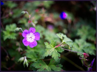 Bild - 3.jpg Bild - 3.jpg