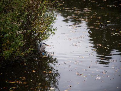 Bild - 5.jpg Bild - 5.jpg