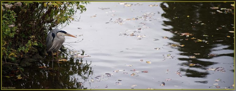 Bild - 2.jpg Bild - 2.jpg