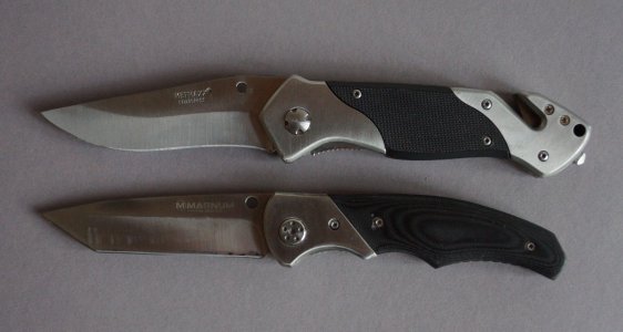 DSC06239.jpg DSC06239.jpg