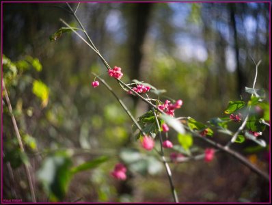 Bild - 8.jpg Bild - 8.jpg