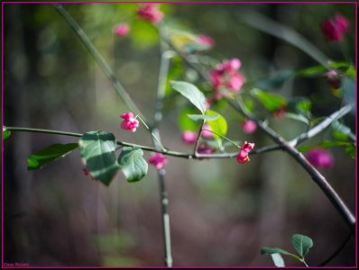 Bild - 9.jpg Bild - 9.jpg