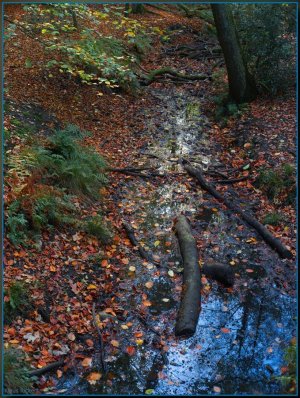 Bild - 22.jpg Bild - 22.jpg