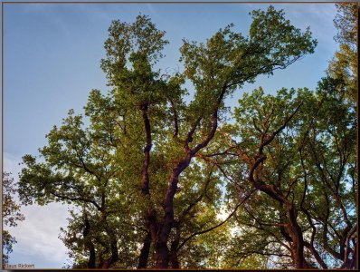 Bild - 23.jpg Bild - 23.jpg