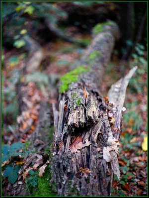 Bild - 25.jpg Bild - 25.jpg