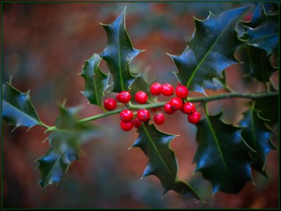 Bild - 32.jpg Bild - 32.jpg