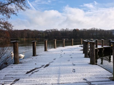 GFXD0420.jpg GFXD0420.jpg