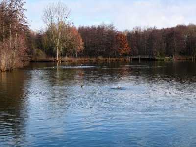 GFXD0426.jpg GFXD0426.jpg