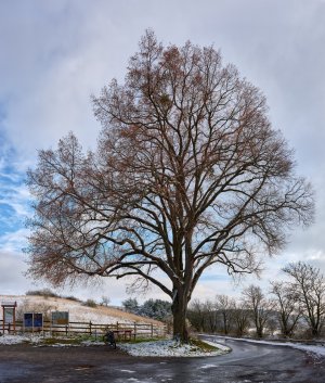 GFXD0486_Panorama.jpg GFXD0486_Panorama.jpg