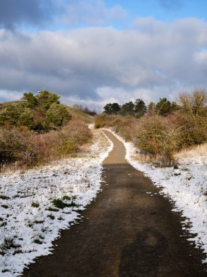 GFXD0505.jpg GFXD0505.jpg