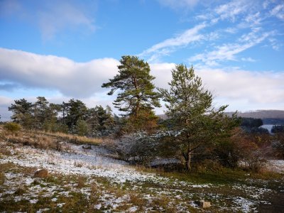 GFXD0538.jpg GFXD0538.jpg