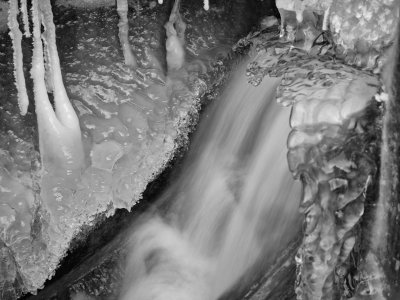 GFXD0752.jpg GFXD0752.jpg