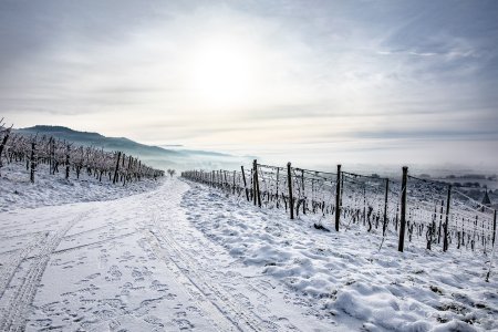 20221218-151202-1377-1 Kopie.jpg