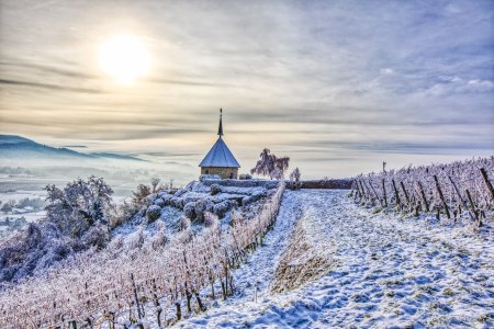 20221218-150420-1339 Kopie.jpg 20221218-150420-1339 Kopie.jpg