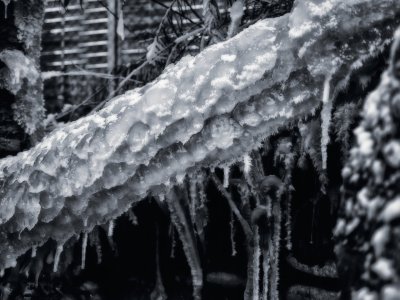 GFXD0728 2.jpg GFXD0728 2.jpg