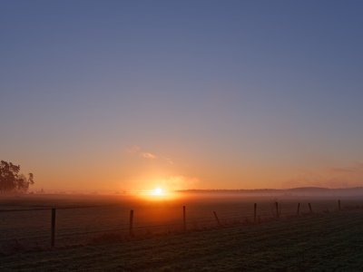 DSCF4251_DxO.jpg DSCF4251_DxO.jpg