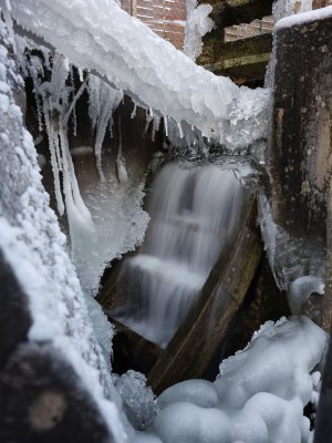 GFXD0727.jpg GFXD0727.jpg