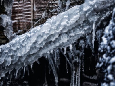 GFXD0728.jpg GFXD0728.jpg