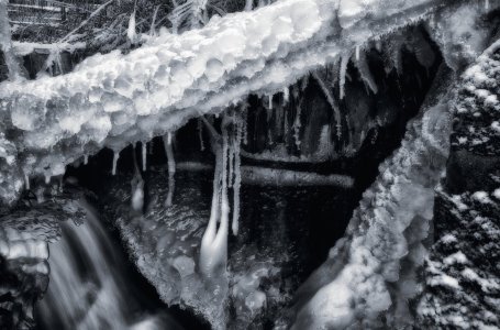 GFXD0745.jpg GFXD0745.jpg